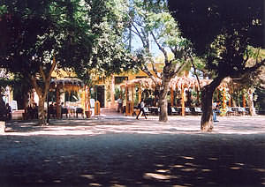 Municipal Park, garden,  Tzanakaki St, Chania, Crete.
